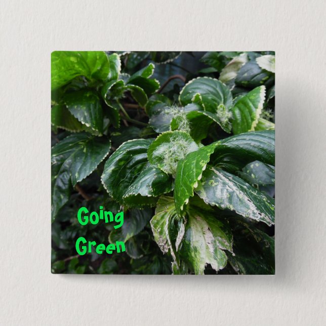 Going Green house plants Button (Front)