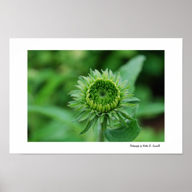 Going Green Poster (Front)