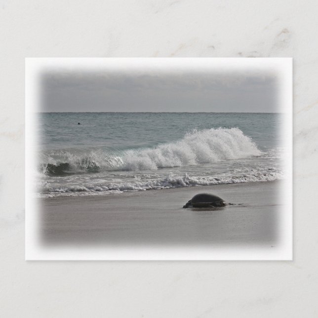 Going Home Postcard (Front)