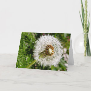 Going to Seed Card