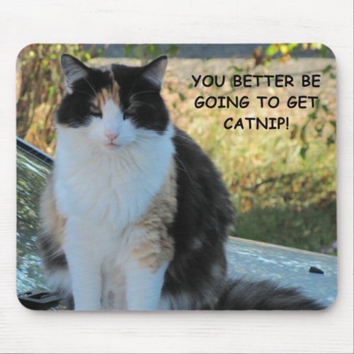 Going to the Store Funny Cat Meme Mouse Pad