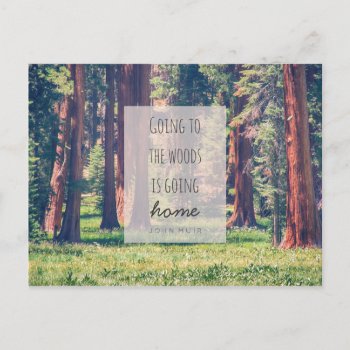 Going To The Woods | Postcard by GaeaPhoto at Zazzle