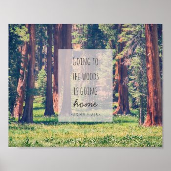 Going To The Woods | Poster by GaeaPhoto at Zazzle