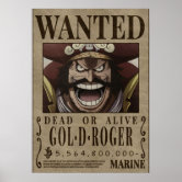 Gol D. Roger Wanted Poster - One Piece™ – Anime Figure Store®