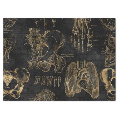 Gold Anatomy Drawings on Black Decoupage Tissue Paper