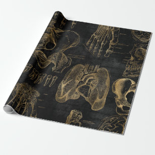 Gold Anatomy Drawings on Black Wrapping Paper