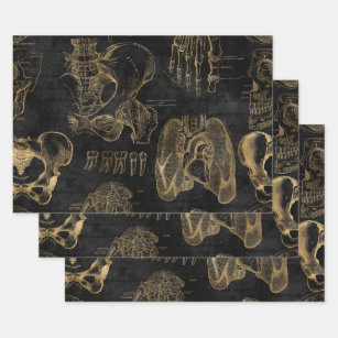 Gold Anatomy Drawings on Black Wrapping Paper Sheets
