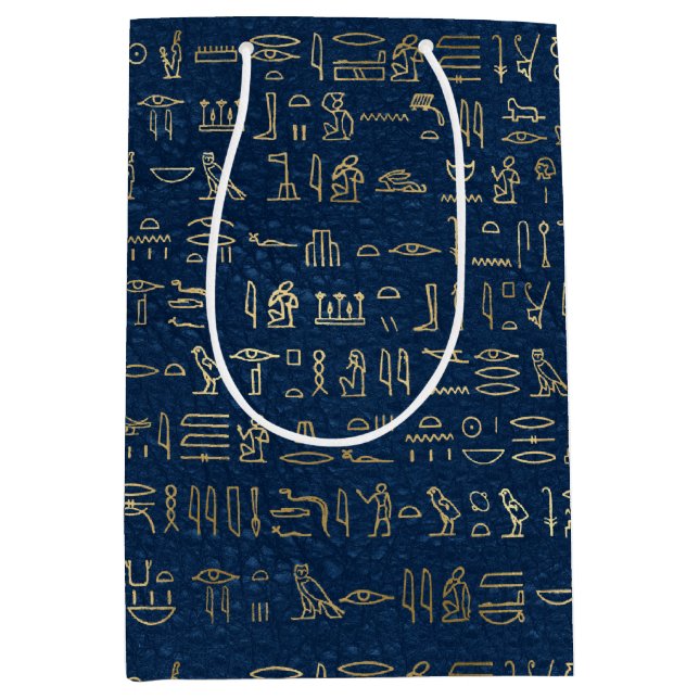 Gold and Blue Egyptian Hieroglyphs Pattern  Medium Gift Bag (Front)