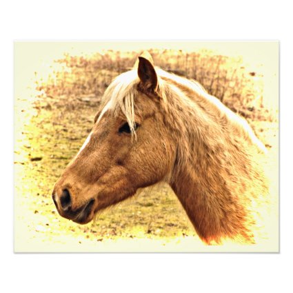 Gold and Brown Horse in Sun Animal Photo Print