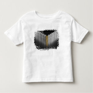 Gold and silver dominoes toddler t-shirt
