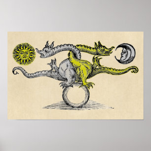 Gold and Silver Dragon Symbol Poster