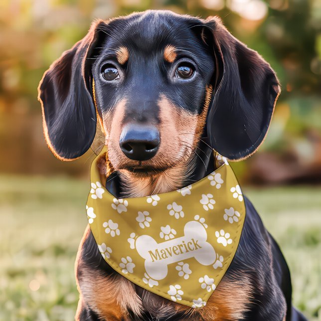 Gold And White Paw Print Dog Bone Custom Name Pet Bandana Collar (Creator Uploaded)
