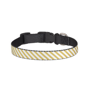 Gold and White Striped Pet Collar