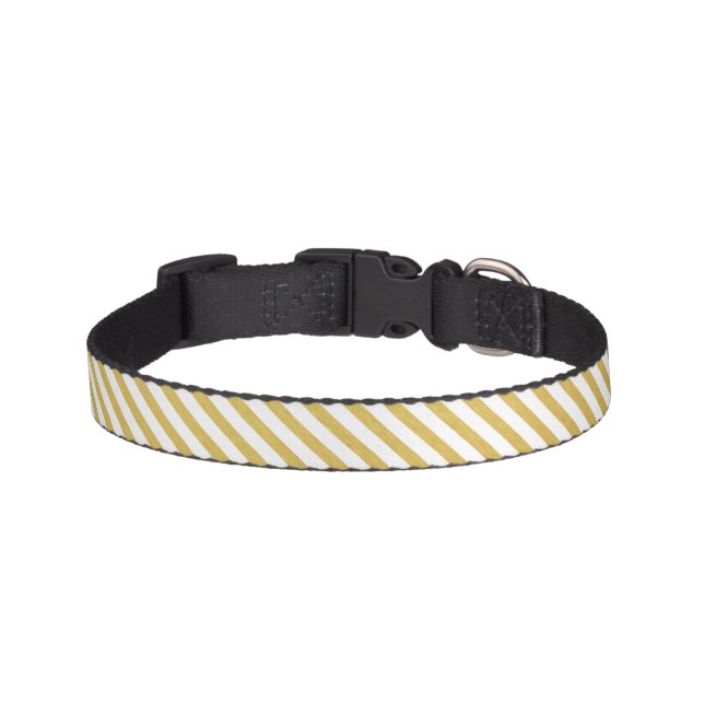 Gold and White Striped Pet Collar (Front)