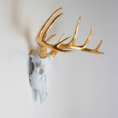 Gold Antlers on White Faux Deer Skull (3/4)