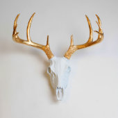 Gold Antlers on White Faux Deer Skull (Front)