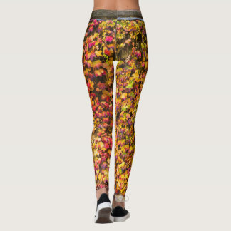 Gold autumn colors ivy wall leggings