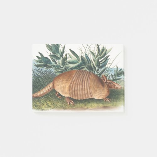 Gold Beige Nine_banded Armadillo Post_it Notes