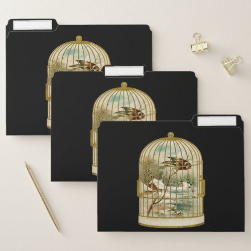 Gold Birdcage With Winter Scene Bird Inside Black File Folder