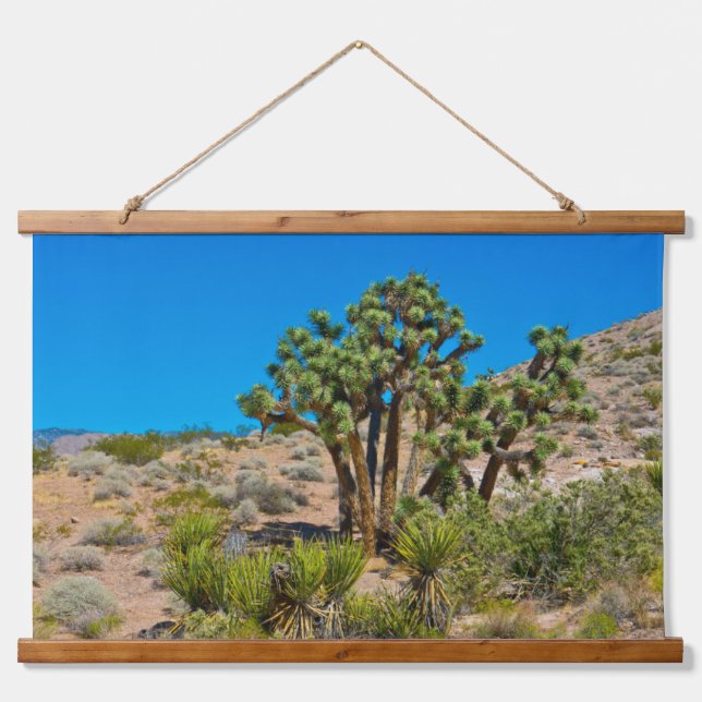 Gold Butte National Monument Hanging Tapestry (Front)