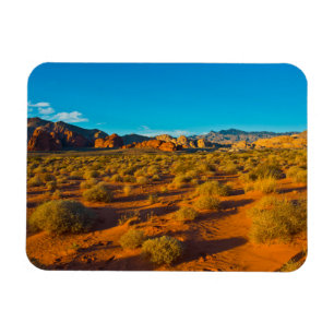 Gold Butte National Monument, Mud Road Vista Magnet