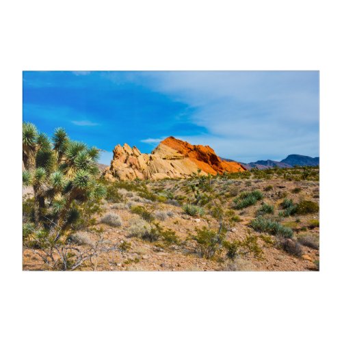 Gold Butte National Monument Whitney Pocket Acrylic Print