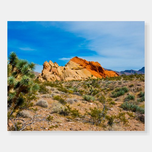 Gold Butte National Monument Whitney Pocket Foam Board