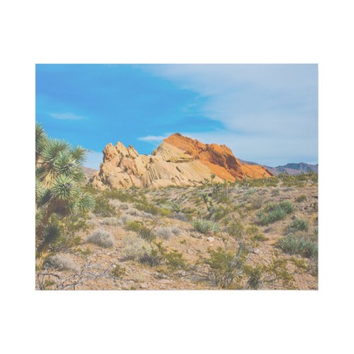 Gold Butte National Monument Whitney Pocket Gallery Wrap