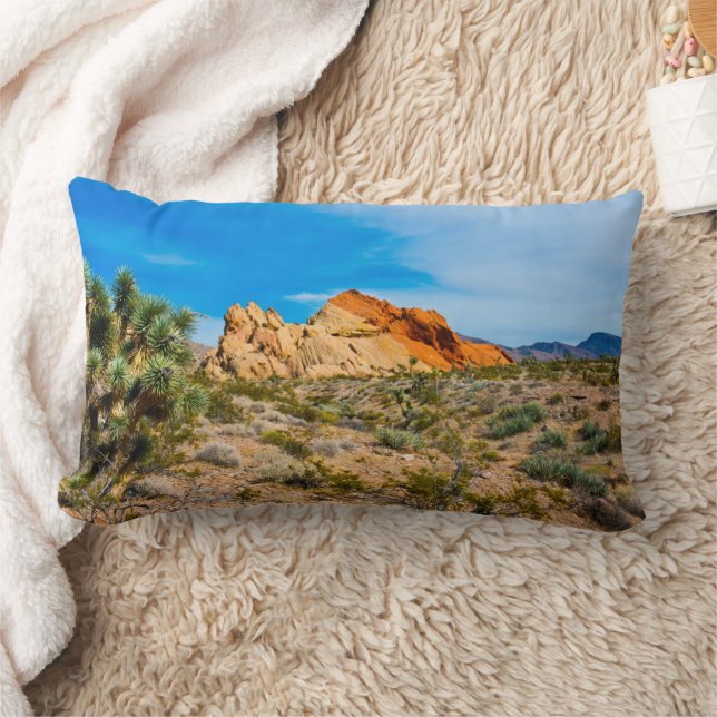 Gold Butte National Monument, Whitney Pocket Lumbar Pillow (Blanket)