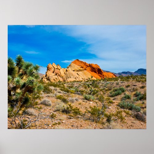 Gold Butte National Monument Whitney Pocket Poster