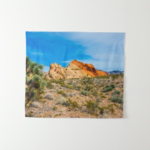 Gold Butte National Monument Whitney Pocket Tapestry