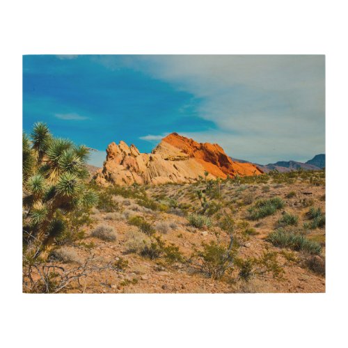 Gold Butte National Monument Whitney Pocket Wood Wall Art