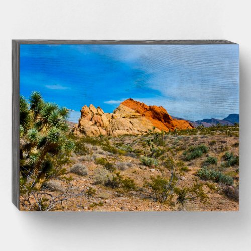 Gold Butte National Monument Whitney Pocket Wooden Box Sign