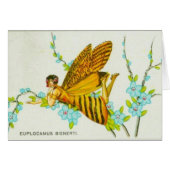Gold Butterfly Girl (Front Horizontal)