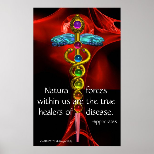 GOLD CADUCEUS, 7 CHAKRAS, Healing, Medical,Yoga Poster (Front)