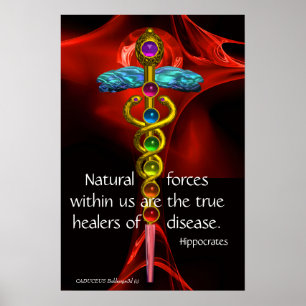 GOLD CADUCEUS, 7 CHAKRAS, Healing, Medical,Yoga Poster