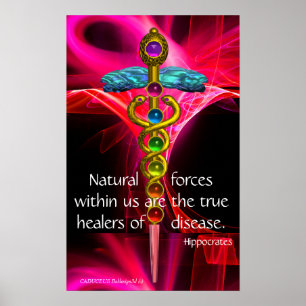 GOLD CADUCEUS,7 CHAKRAS,PINK FRACTAL WAVES Medical Poster