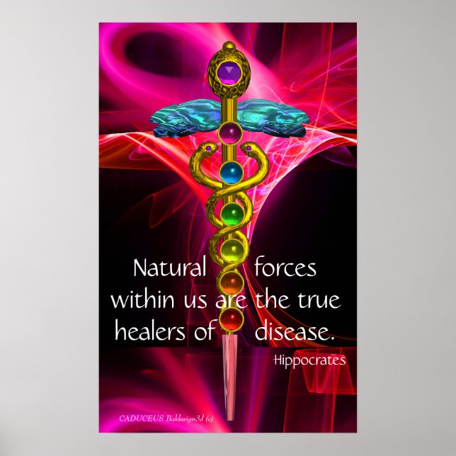 GOLD CADUCEUS,7 CHAKRAS,PINK FRACTAL WAVES Medical Poster (Front)