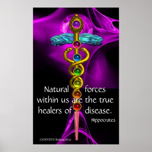 GOLD CADUCEUS 7 CHAKRAS PURPLE ROSE MedicalYoga Poster