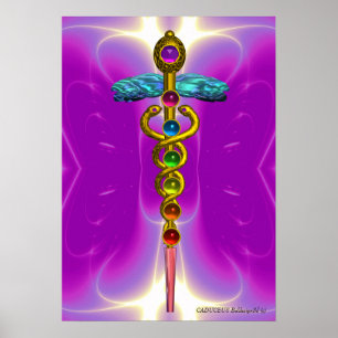 GOLD CADUCEUS 7 CHAKRAS,Yoga,Medical Pink Fuchsia Poster