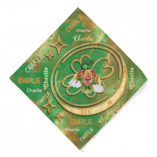 Gold Cream Dachshund St. Patrick's Day Dog Bandana