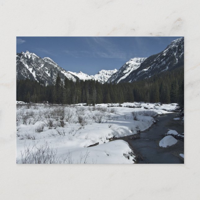 Gold Creek Postcard (Front)