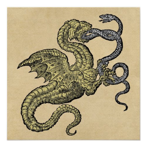 Gold Dragon vs Silver Snake Perfect Poster