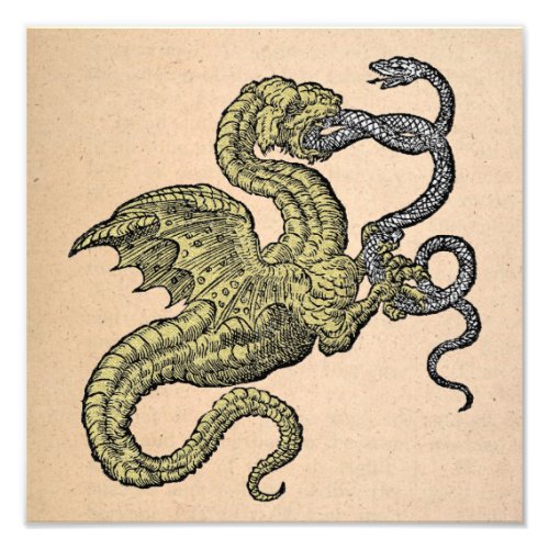 Gold Dragon vs Silver Snake Photo Print
