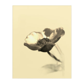 Gold Dream Flowers – Ethereal Fantasy Floral Acrylic Print