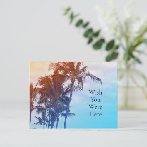 Gold Dreams Kauai Palm Trees Postcard