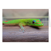 Gold Dust Day Gecko (Front Horizontal)