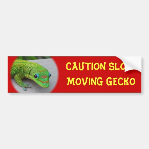 Gold Dust Day Gecko  Audition and Get Some Gecko Bumper Sticker