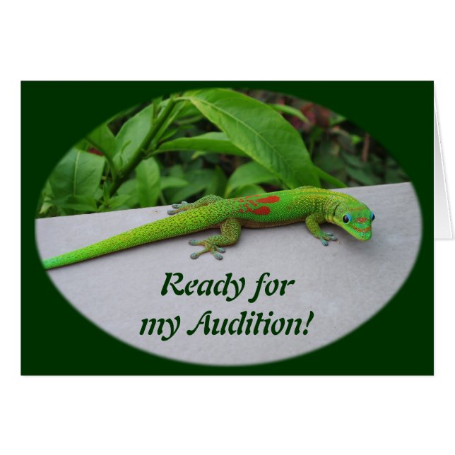 Gold Dust Day Gecko – Audition and Get Some Gecko Cards (Front Horizontal)