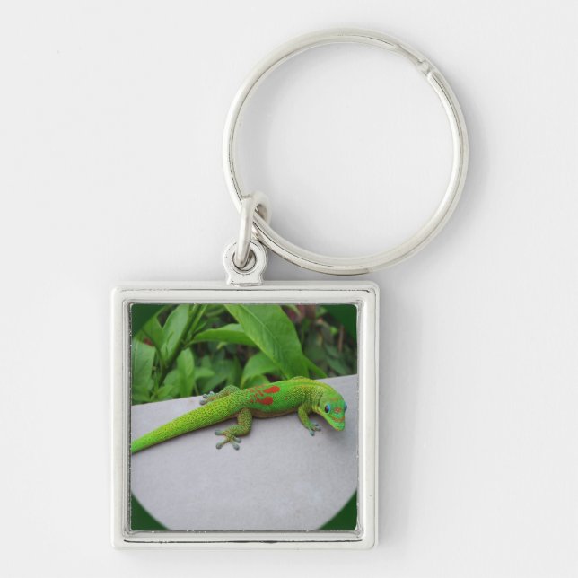 Gold Dust Day Gecko – Audition and Get Some Gecko Keychain (Front)